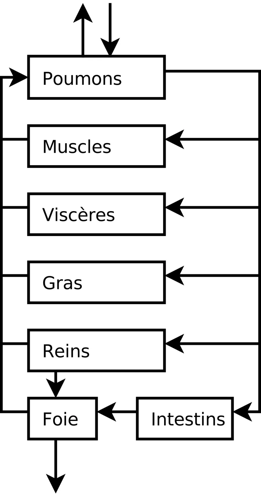 La carte Modèles PBPK