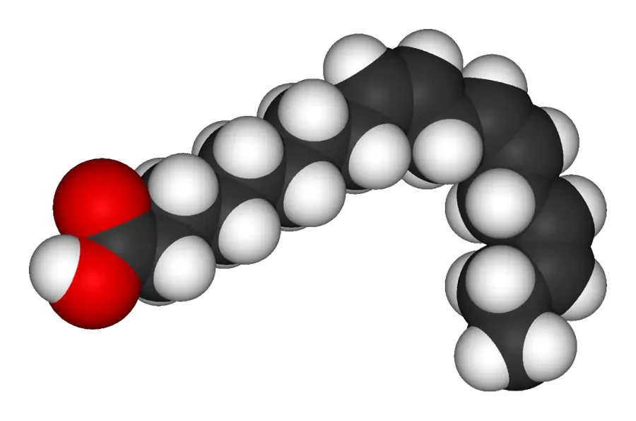 The Α-Linolenic acid card