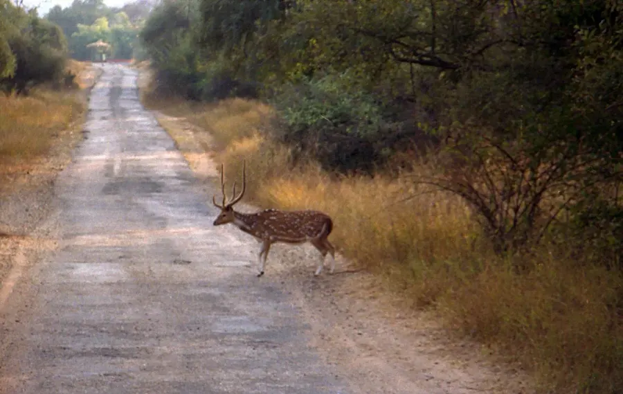 La carte Parc national de Sariska