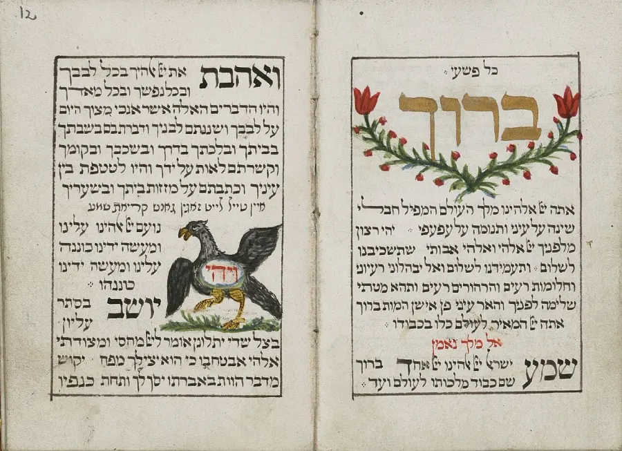 The Maariv card