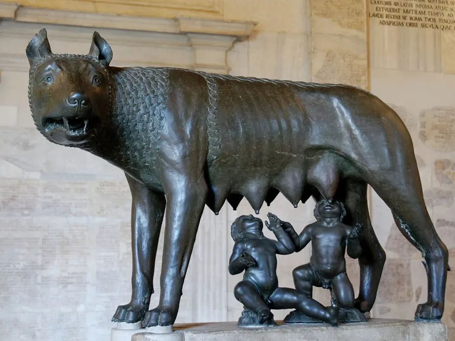 La carte Enfant sauvage