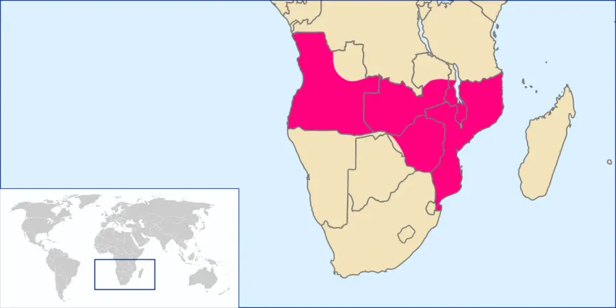 The Pink Map card