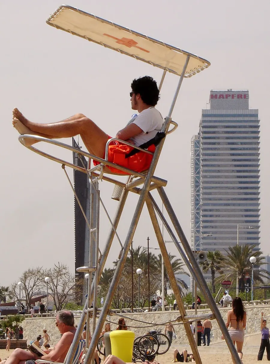 The Lifeguard card