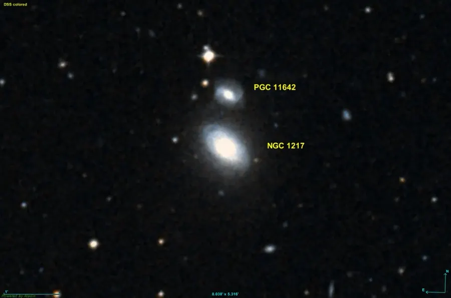 The NGC 1217 card