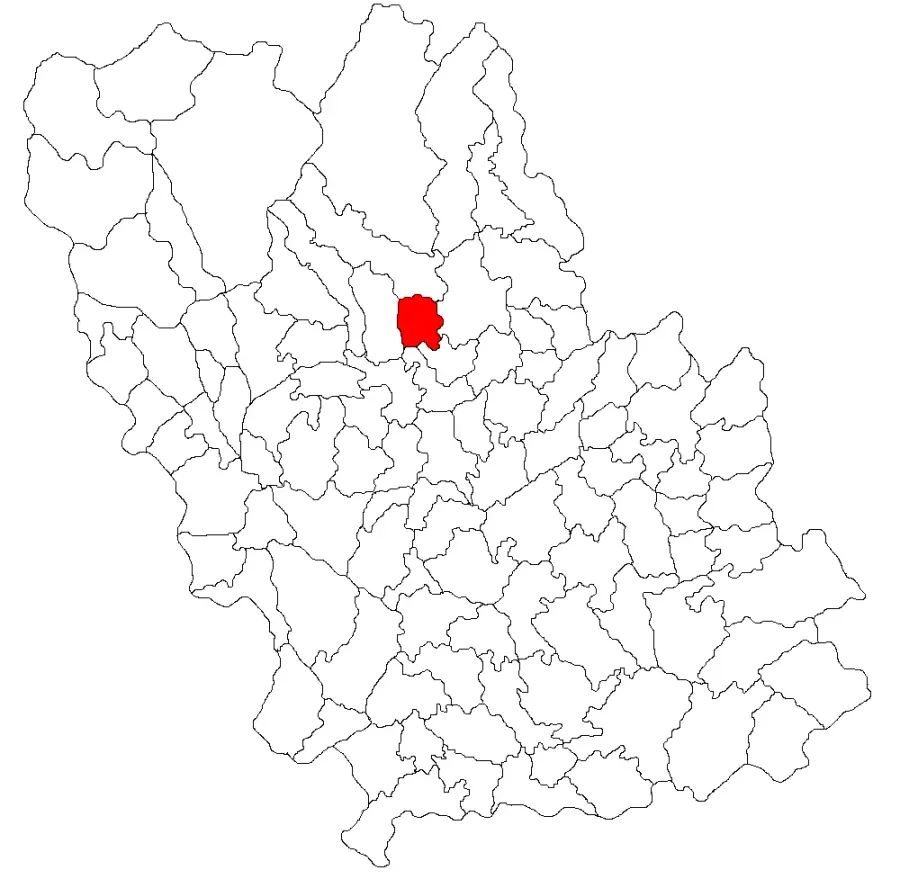 The Teișani card