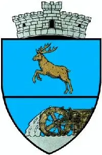 La carte Ștefești