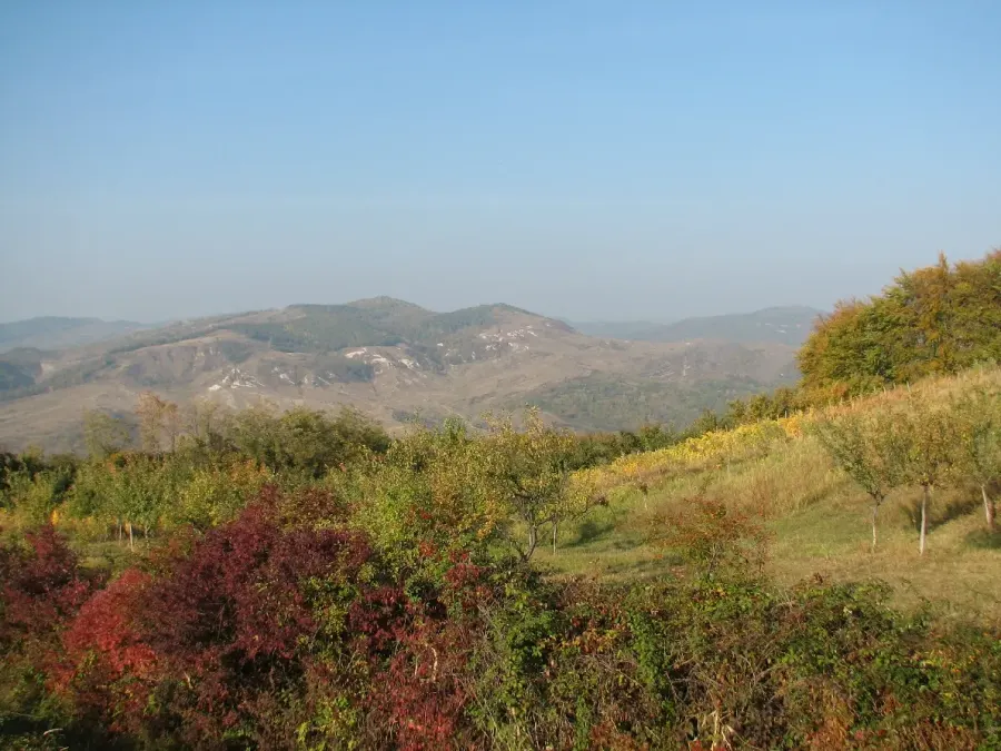 La carte Tătaru
