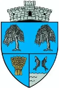 La carte Sălciile
