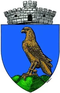 The Șoimari card