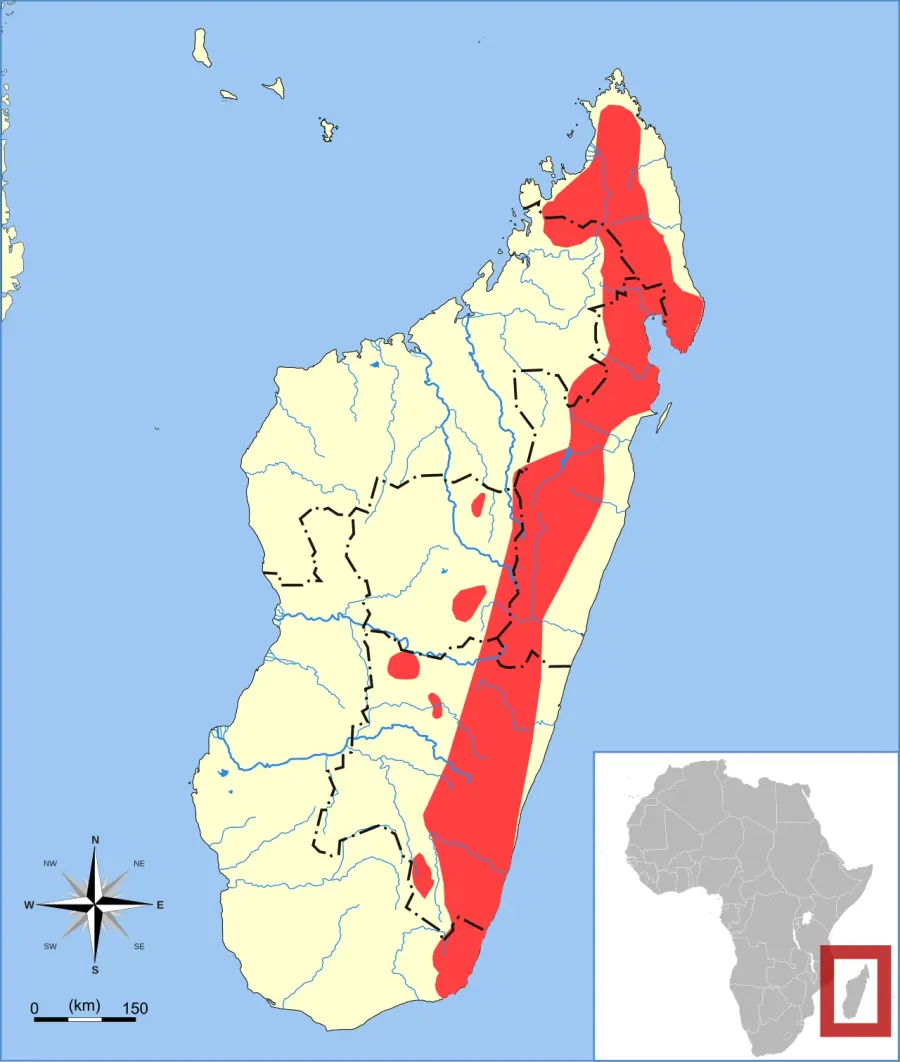 La carte Microgale dobsoni