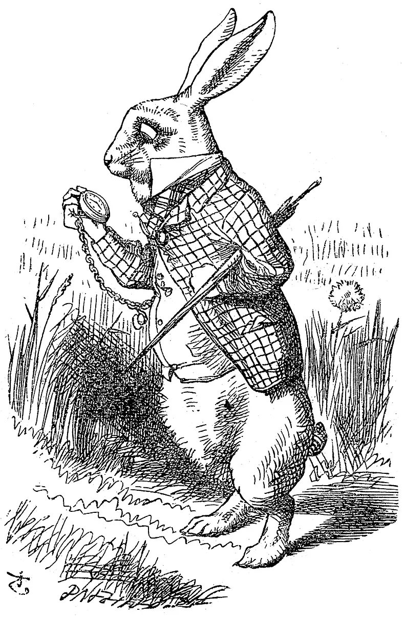 La carte (17942) Lapinblanc