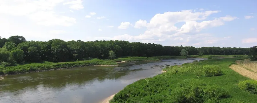 La carte Wołów