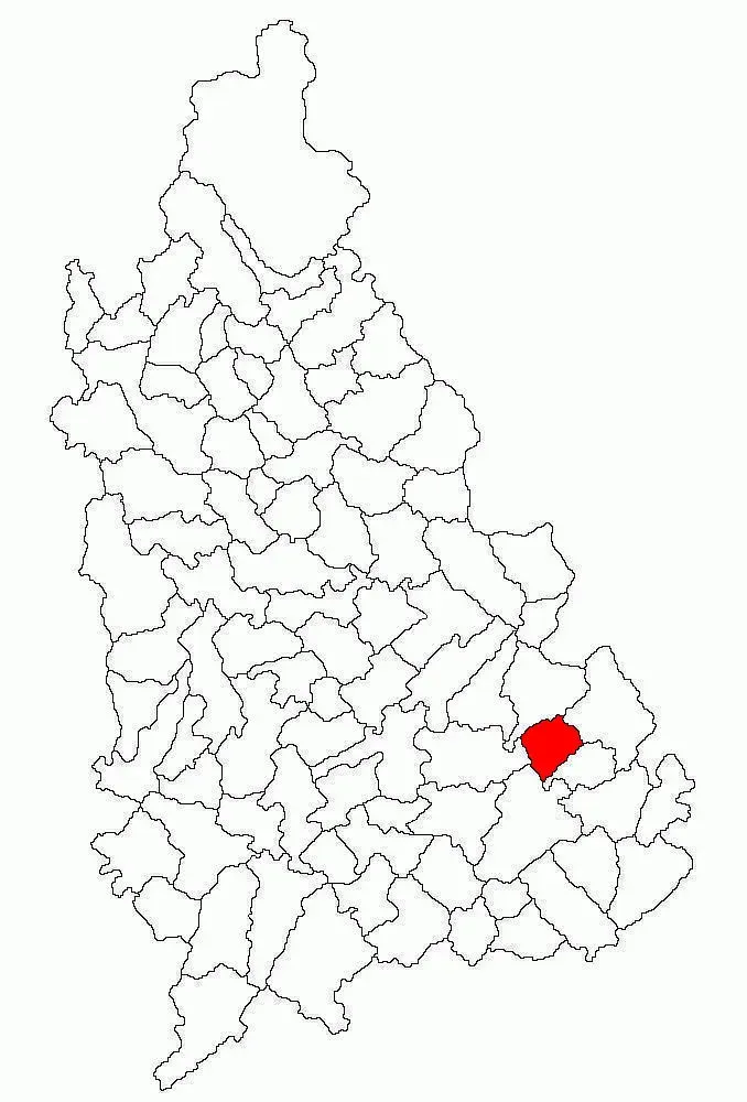 The Bilciurești card
