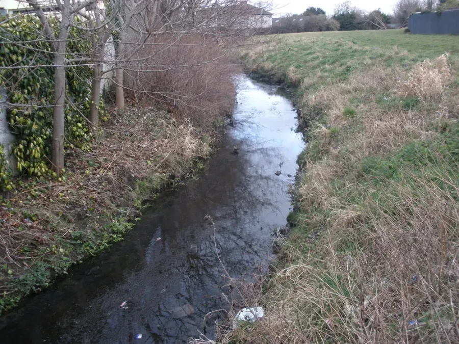 The River Poddle card