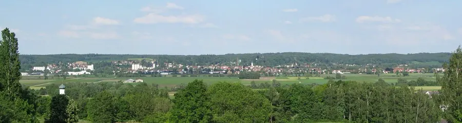 The Thannhausen card