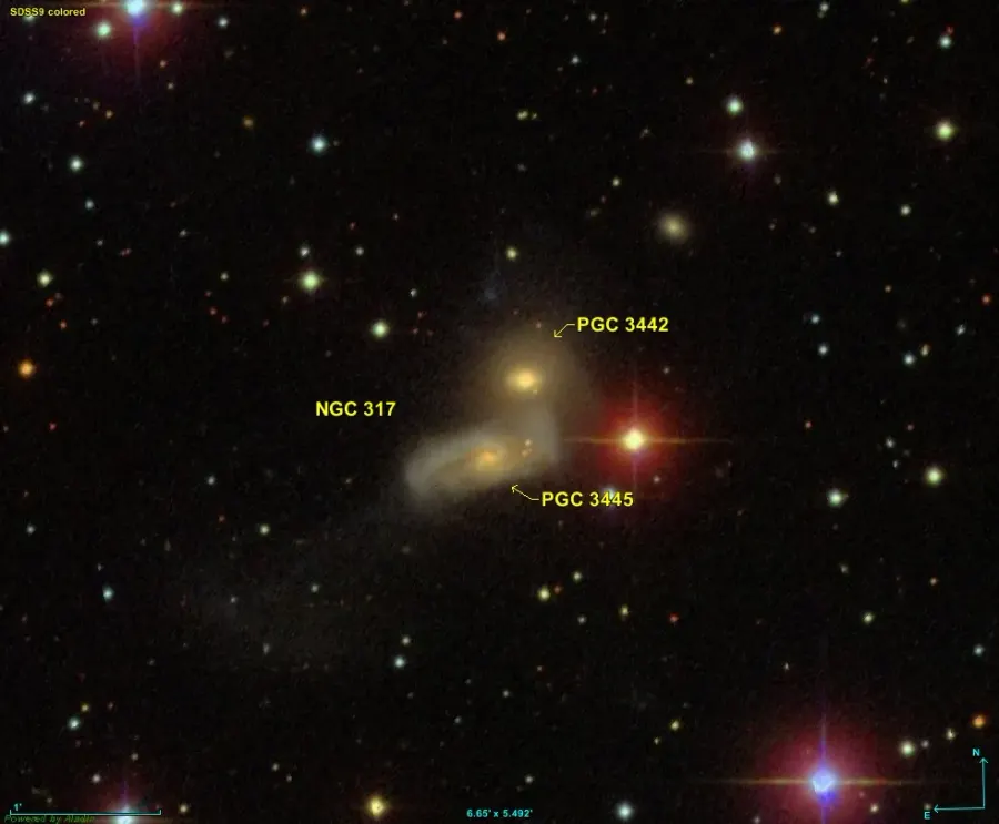 The NGC 317B card