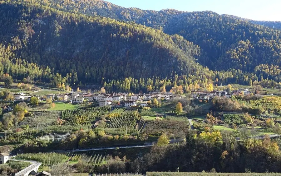 La carte Cavizzana