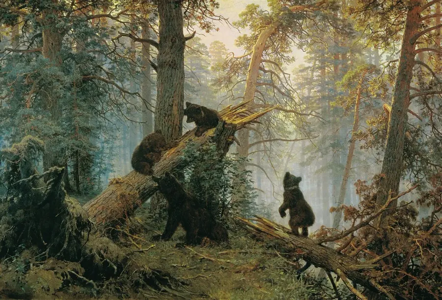 La carte Un matin dans une forêt de pins