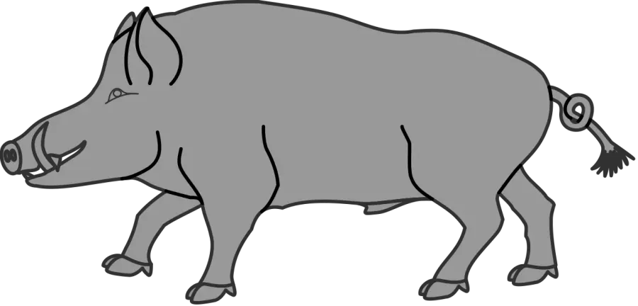 La carte Symbolique du sanglier