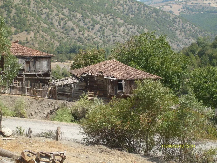 The Araç card