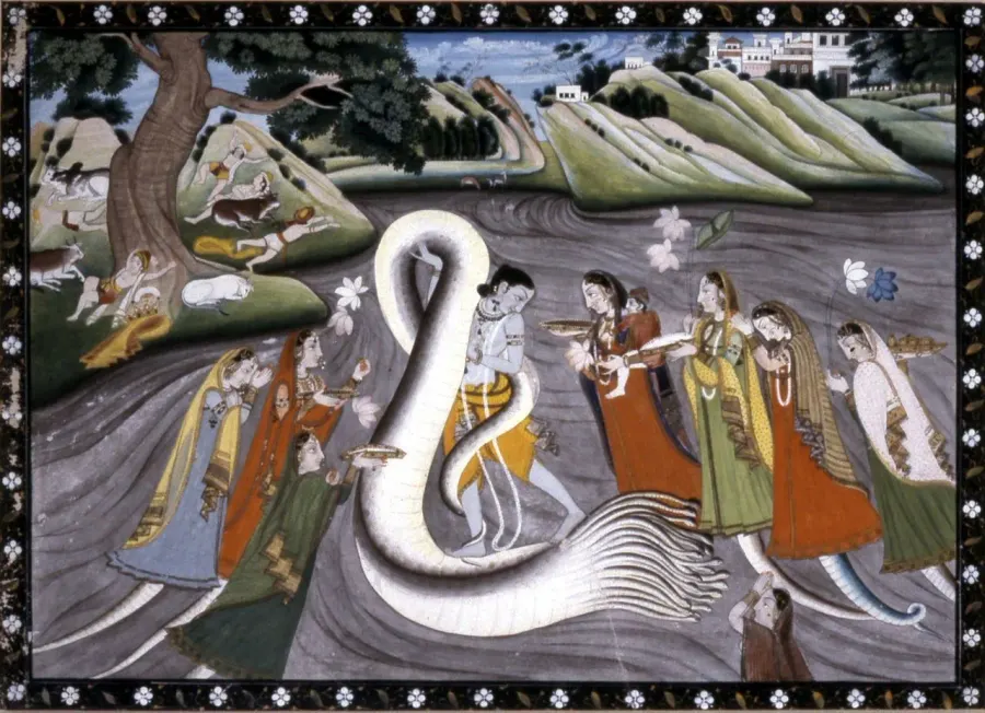 The Kaliya card