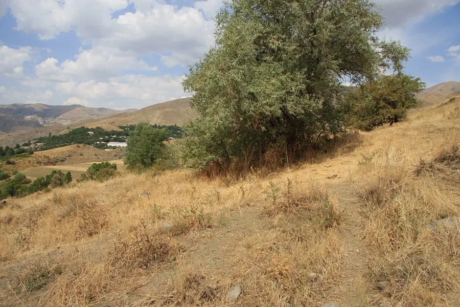 The Salli, Armenia card