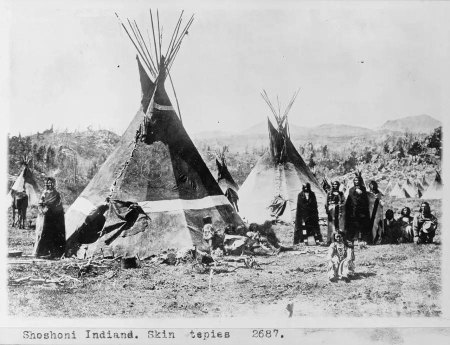 The Shoshone card