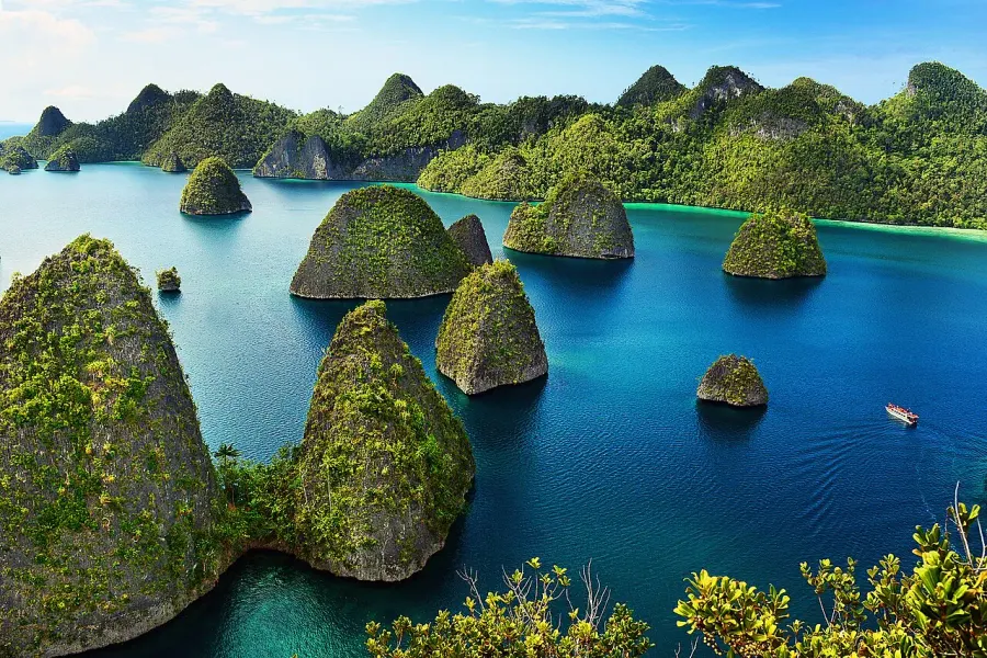 The Raja Ampat Regency card