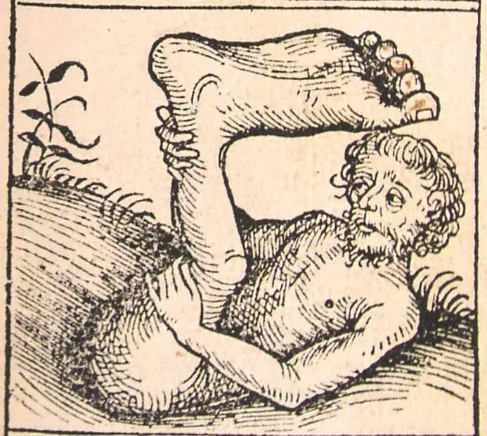 La carte Sciapode