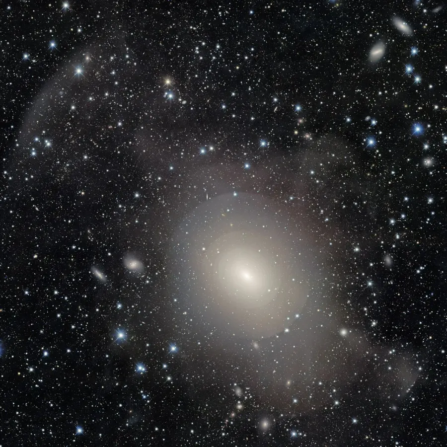 The NGC 3923 card