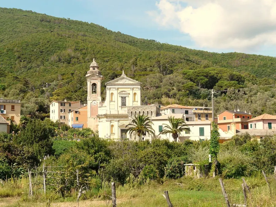 The Deiva Marina card