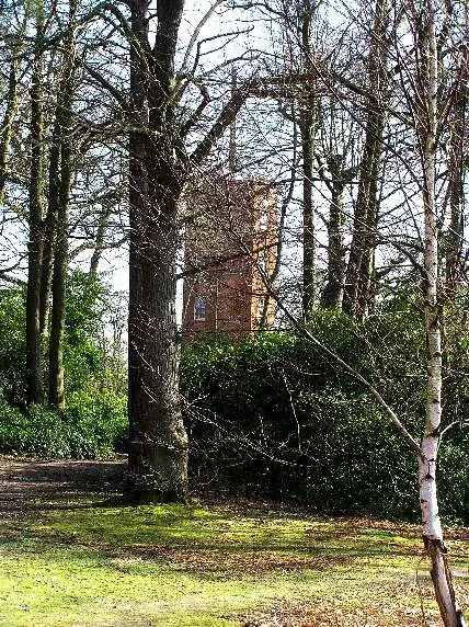 The Ockham, Surrey card