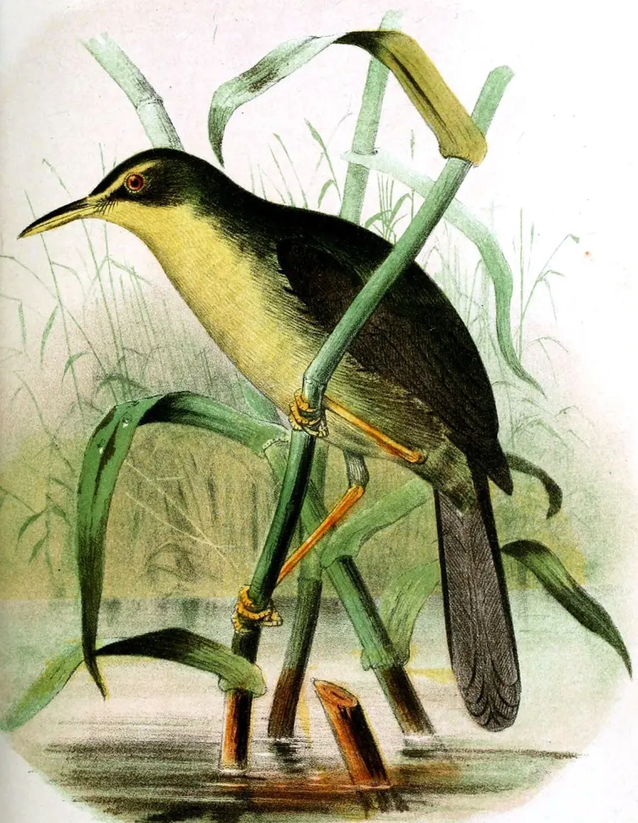 La carte Bouscarle des Palau