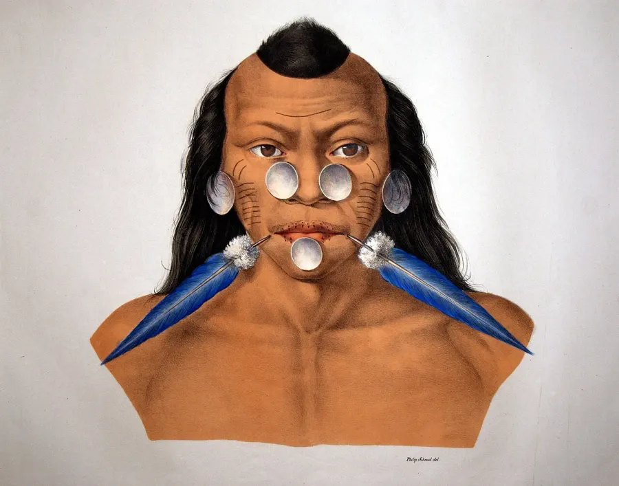 The Matsés card