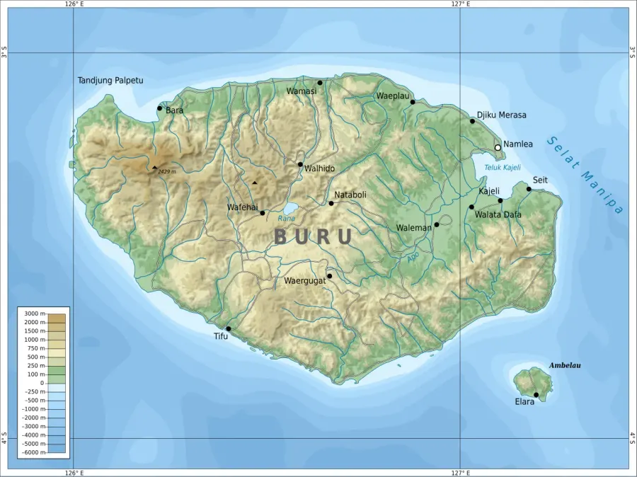 The Buru card