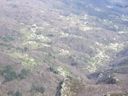 La carte Rialto