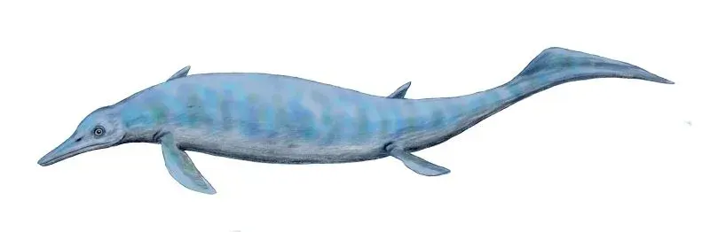 La carte Chaohusaurus