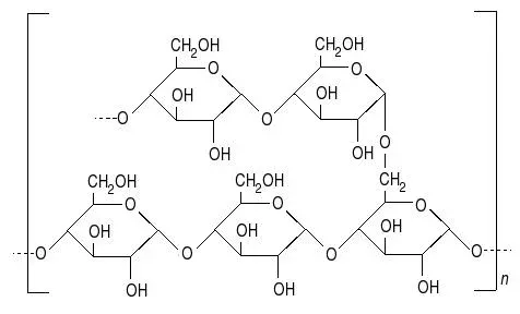The Amylopectin card