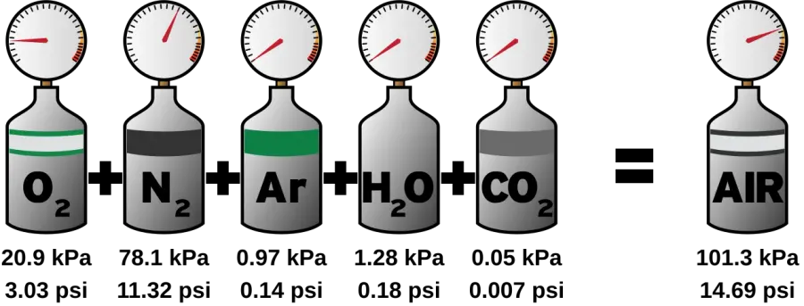 The Partial pressure card