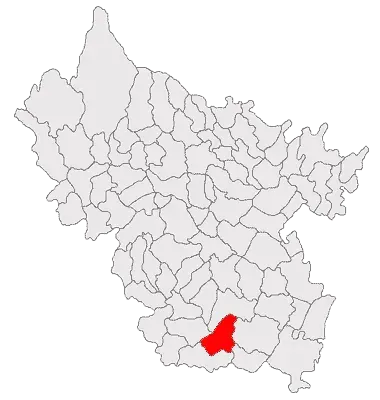 The Brădeanu card