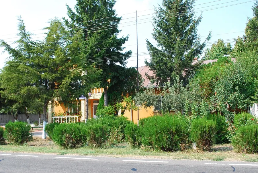 The Ulmeni, Buzău card