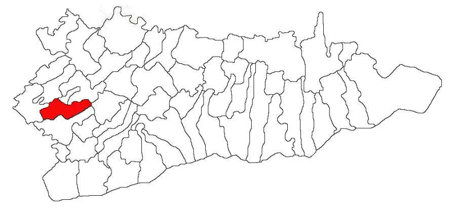 The Vasilați card