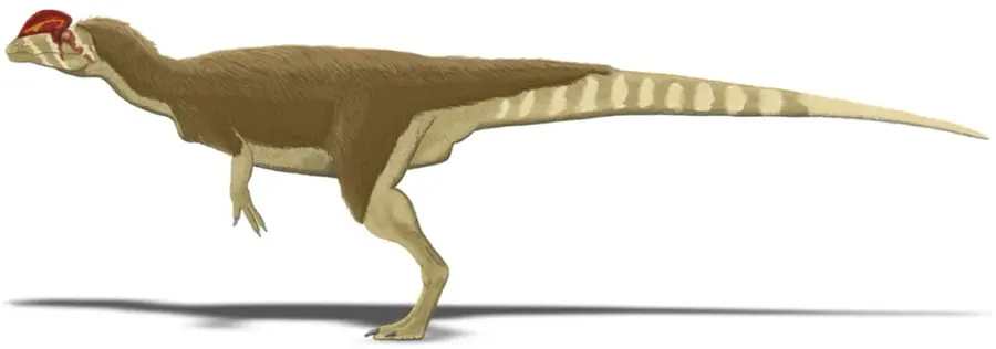 La carte Dilophosaurus