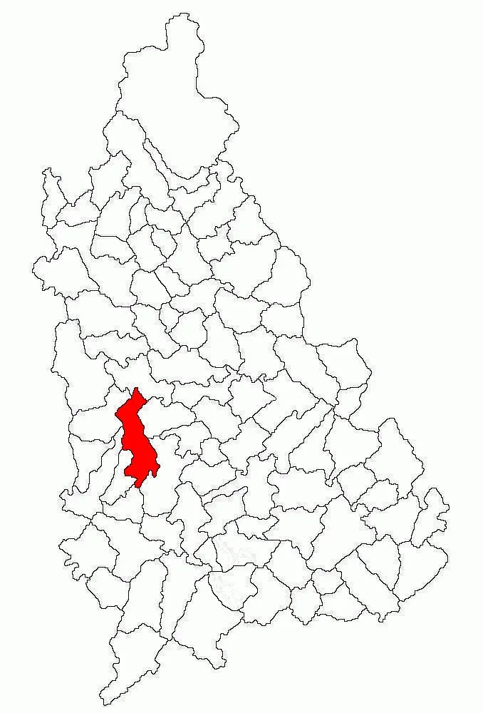 La carte Cobia