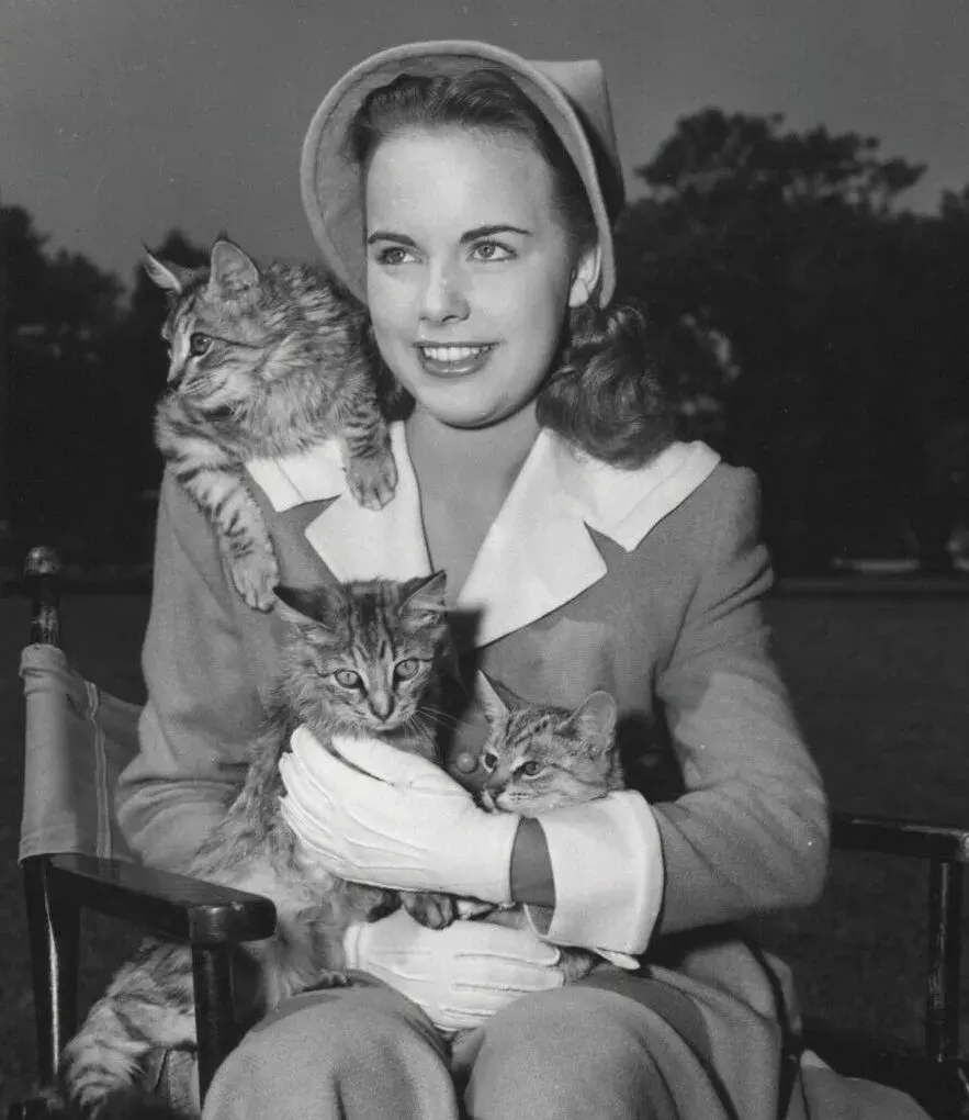 La carte Terry Moore