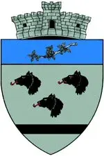 La carte Vâlcănești