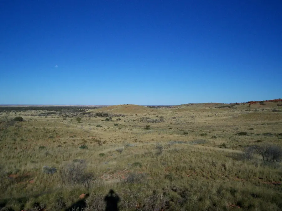 The Gibson Desert card