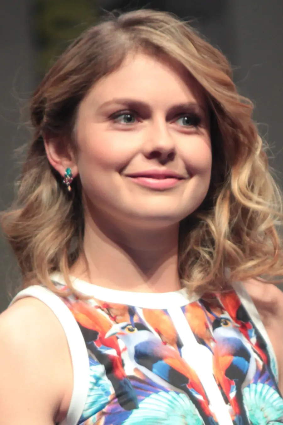 La carte Rose McIver