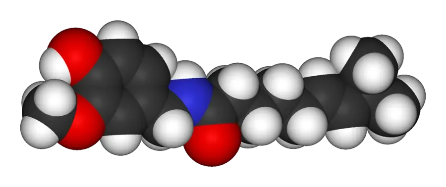 The Capsaicin card