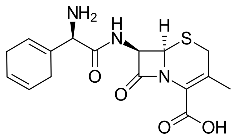 The Cefradine card